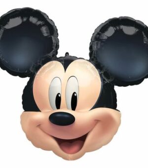 mickey3154802